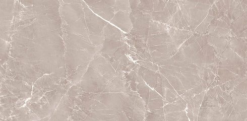 Grigio Grey Polished Wall and Floor Tile 24"x48"